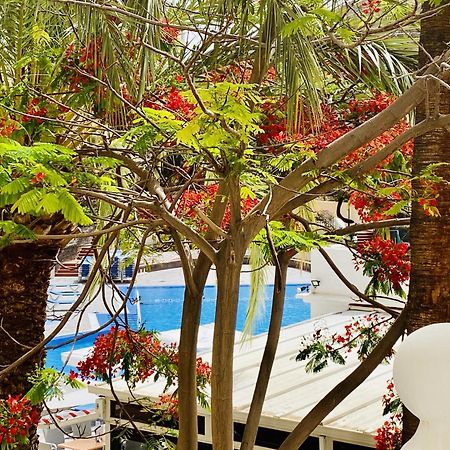 Castle Harbour Melanie'S Apartment By Lovetenerife لوس كريستيانوس المظهر الخارجي الصورة